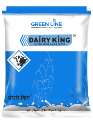 DAIRY KING (1Kg)