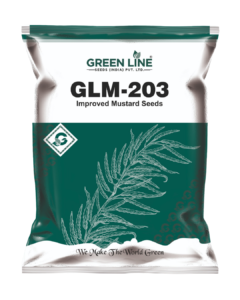 GLM-203 (Yellow Mustard)
