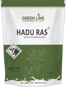Hadu Ras