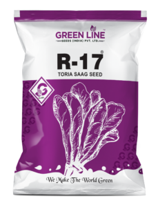 R-17 (Toria Saag Seed)