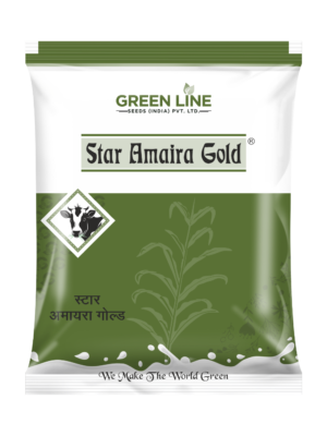 STAR AMAIRA GOLD (3Kgs)