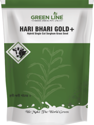 HARI BHARI GOLD + (2Kgs)