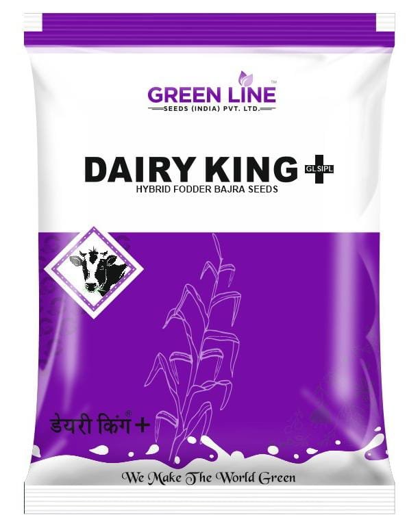 Dairy King+