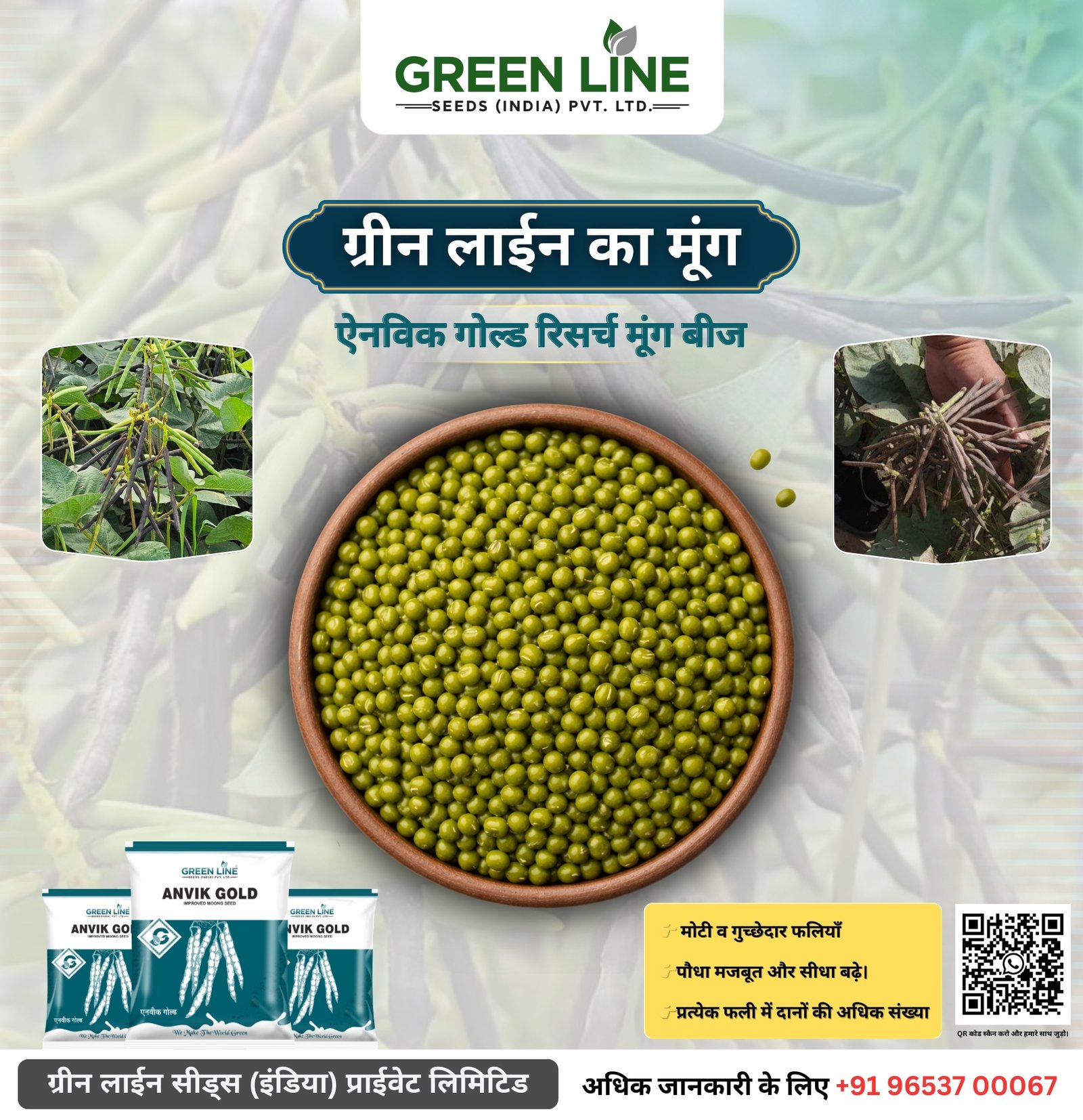 Anvik Gold