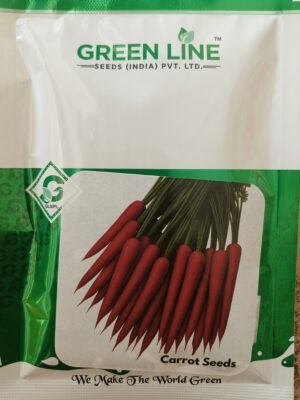 Carrot Seeds
