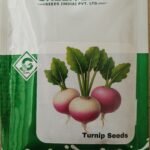 Turnip Seeds