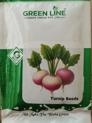 Turnip Seeds